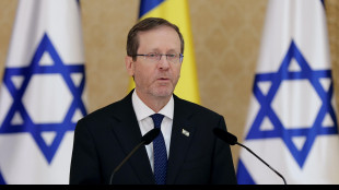 Herzog propone i '4 israeliani-eroi' del FlyDubai per il Premio al valore civile
