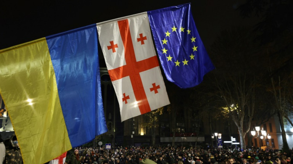 El gobierno de Georgia descarta convocar elecciones pese a crisis pol&iacute;tica