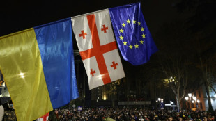 El gobierno de Georgia descarta convocar elecciones pese a crisis pol&iacute;tica