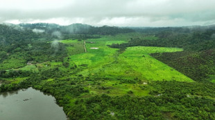 La UE propone suavizar las normas contra la deforestaci&oacute;n para facilitar su implementaci&oacute;n