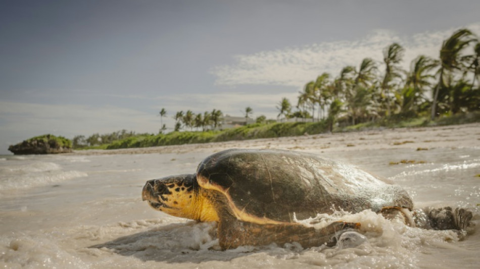 Dirigentes mundiales se re&uacute;nen en Niza para abordar las amenazas sobre los oc&eacute;anos