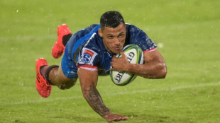 Springboks recall 'outstanding' Papier for Nations Championship