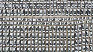 Las autoridades chinas intentan frenar la "competencia irracional" en los coches el&eacute;ctricos