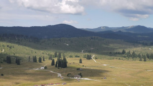 A 7 anni da tempesta Vaia progetto riforestazione Enego