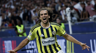 Champions: multe e squalifiche a Lione e Fenerbahce per la rissa a fine gara