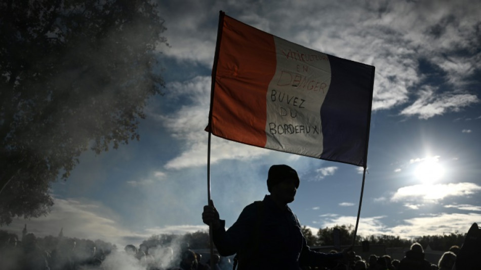 Bordeaux: des centaines de vignerons manifestent pour une prime &agrave; l'arrachage