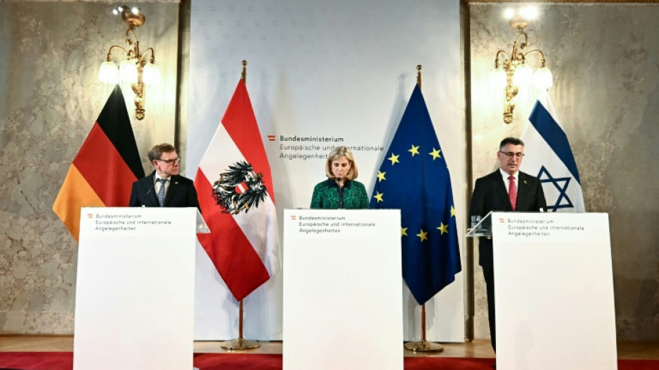 Berlin und Wien mahnen Israel zur Einhaltung des Völkerrechts im Gazastreifen