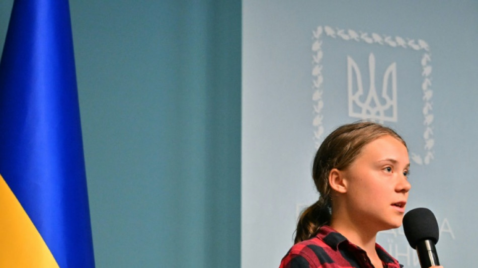 Greta Thunberg prangert "&Ouml;kozid" in Ukraine als "Form der Kriegsf&uuml;hrung" an