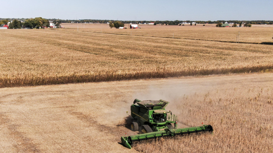 Lollobrigida a Ue, più acquisti di fonti proteiche da Usa