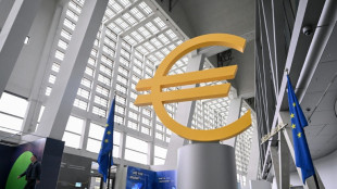 La BCE maintient ses taux pendant la tourmente politique en France