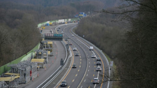 Bundesgerichtshof verhandelt &uuml;ber Klimaklagen gegen BMW und Mercedes