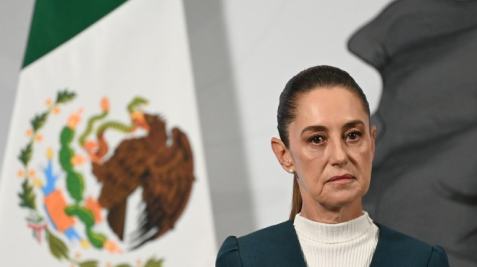 Mann wegen mutma&szlig;licher Bel&auml;stigung von Mexikos Pr&auml;sidentin Sheinbaum festgenommen