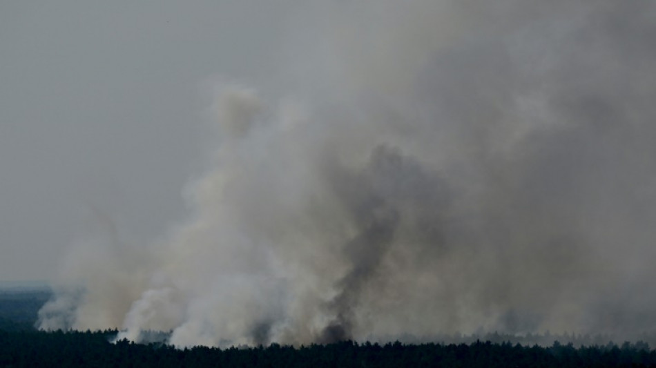 Feuerwehr macht Fortschritte bei Löschen von Großbrand in Berliner Grunewald