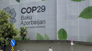 La COP29 menac&eacute;e par la promotion des &eacute;nergies fossiles et la corruption, selon un rapport