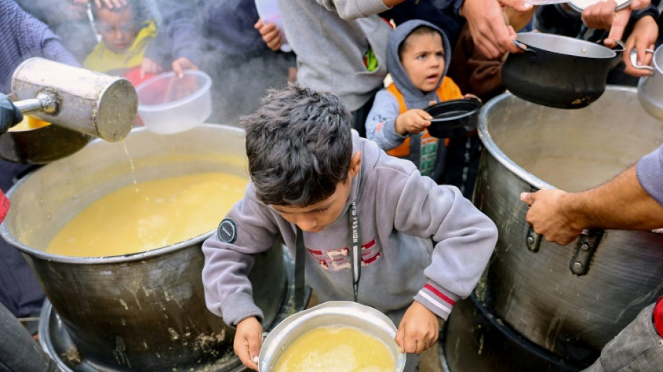 La ONU denuncia el saqueo "sistem&aacute;tico" de ayuda humanitaria en Gaza