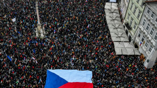 Czechs rally to back president locking horns with government