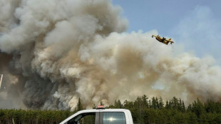 Experts warn Canada's wildfire season likely to be massive again