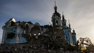 Ukraine: &agrave; Bogorodytchn&eacute;, des ruines, des chats et un homme