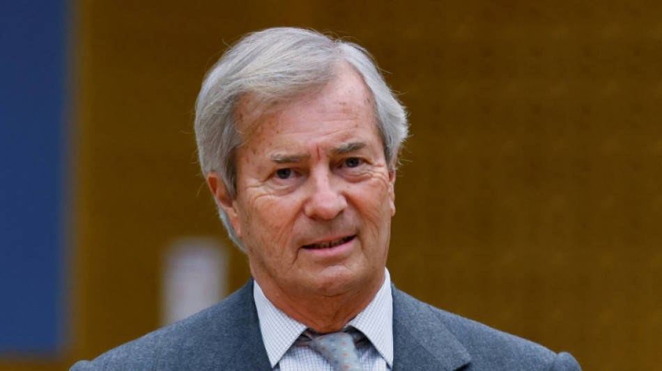 Bollor&eacute; se d&eacute;siste de ses actions en diffamation contre les auteurs de "Vincent tout-puissant" 