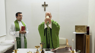 Il Papa a Putin, 'una tregua per la citt&agrave; di Oleshky'