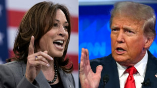 L'Iran derri&egrave;re des tentatives de piratage informatique contre Trump et Harris, selon Washington