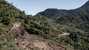 Fight to save last forests of the Comoros unites farmers, NGOs