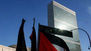 Un nuevo grupo de pa&iacute;ses occidentales reconoce este lunes en la ONU el Estado palestino