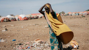 ONU: 1,39 milliard de dollars pour aider la Corne de l'Afrique &agrave; lutter contre la famine