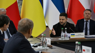 Selenskyj lanciert ersten Gipfel der Karpaten-L&auml;nder