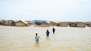 Le cyclone Biparjoy fait deux morts et laisse un sillage de destructions sur la c&ocirc;te indienne
