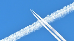 EuGH: Weitergabe von Fluggastdaten auf das absolut Notwendige beschr&auml;nken