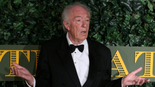 Muri&oacute; el actor Michael Gambon, que encarn&oacute; a Dumbledore en "Harry Potter"