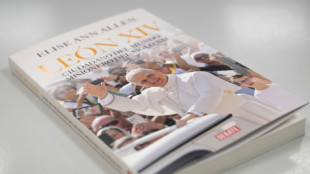 Papst Leo XVI. bremst bei Reformans&auml;tzen der katholischen Kirche