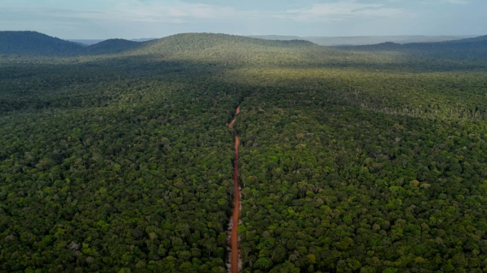 Rota lendária é vista como salvação econômica na Guiana