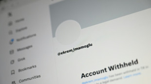 Turkey blocks X account of British reporter 