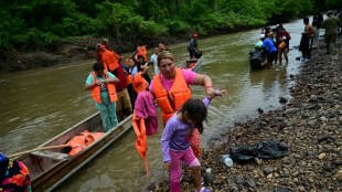 Cifra de migrantes que cruzan selva paname&ntilde;a hacia EEUU cay&oacute; 41% en 2024