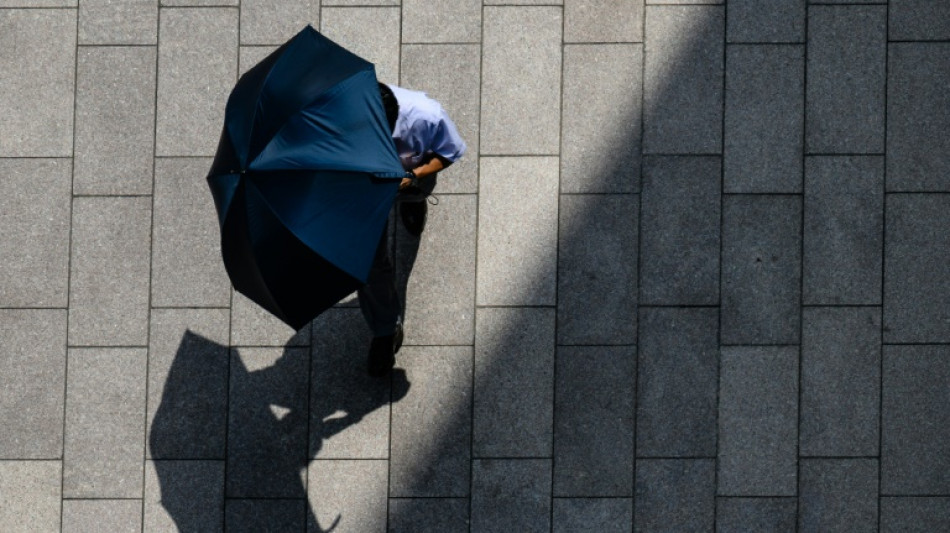 Grüne fordern von Regierung umfassendes Maßnahmenpaket zum Hitzeschutz