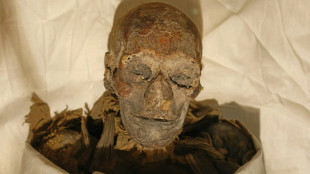 L'h&eacute;ritage de la reine &eacute;gyptienne Hatchepsout n'a pas &eacute;t&eacute; d&eacute;truit en raison de son genre (&eacute;tude)