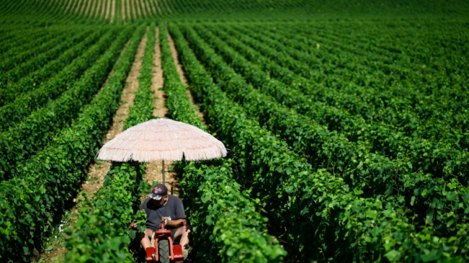 France: le Haut Conseil pour le climat appelle à un "sursaut collectif"