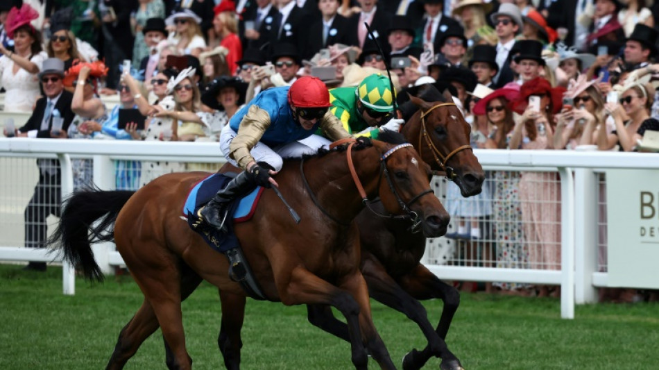 Racing betting tax hike will bring 'communities to their knees': Gosden