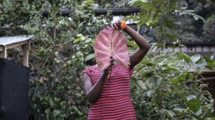 La invisible magnitud de la violencia sexual intrafamiliar en Rep&uacute;blica Centroafricana