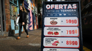 Previs&atilde;o de consumo de carne bovina na Argentina &eacute; o mais baixo em um s&eacute;culo