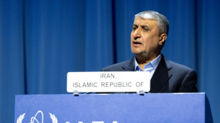 Pa&iacute;ses occidentales presentan una resoluci&oacute;n contra Ir&aacute;n en el OIEA