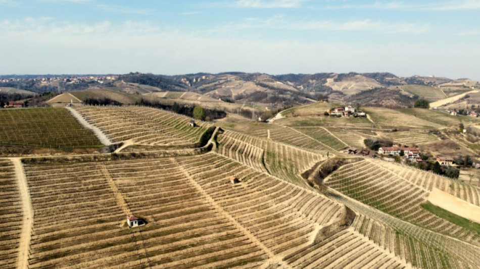 Asti Spumante, ces bulles frein&eacute;es dans leur &eacute;lan par la guerre en Ukraine 