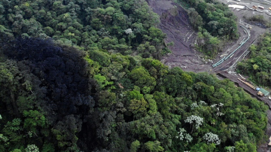 Du p&eacute;trole dans la rivi&egrave;re: catastrophe &eacute;cologique en Amazonie &eacute;quatorienne