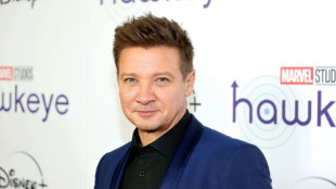 US-Schauspieler Jeremy Renner verletzt sich beim Schneer&auml;umen schwer