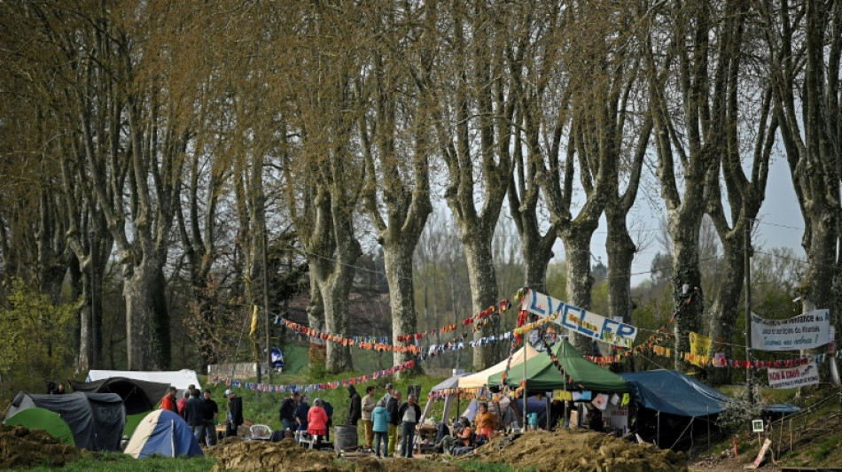 Autoroute Toulouse-Castres: des opposants sur des arbres pour arr&ecirc;ter le chantier
