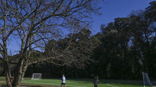 Natura ha effetti analgesici, meno attivit&agrave; aree neurali dolore