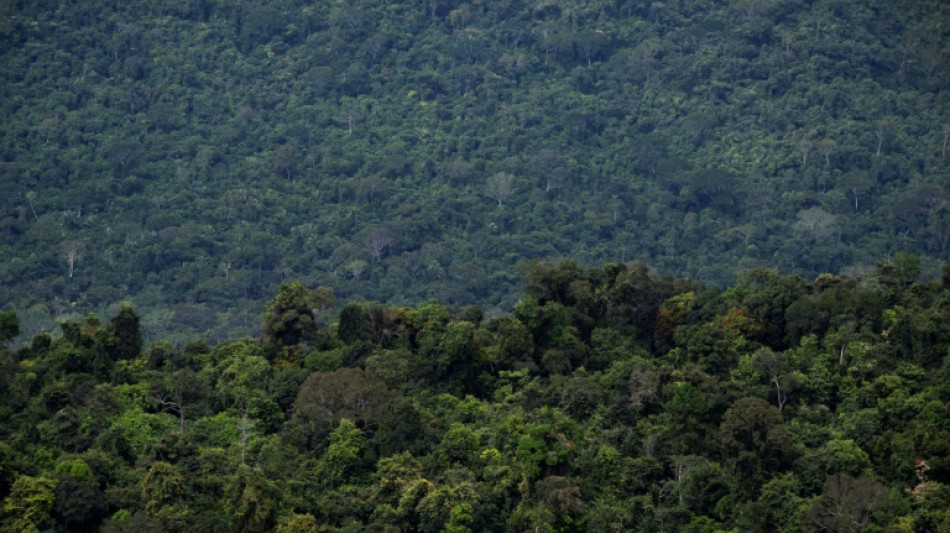 Brasilianisches Unterhaus stimmt f&uuml;r Einschr&auml;nkung von Landrechten f&uuml;r Indigene
