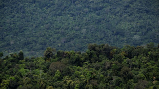 C&acirc;mara aprova texto-base de projeto que limita demarca&ccedil;&atilde;o de terras ind&iacute;genas